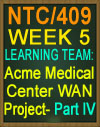 NTC/409 Acme Medical Center WAN Project Part IV